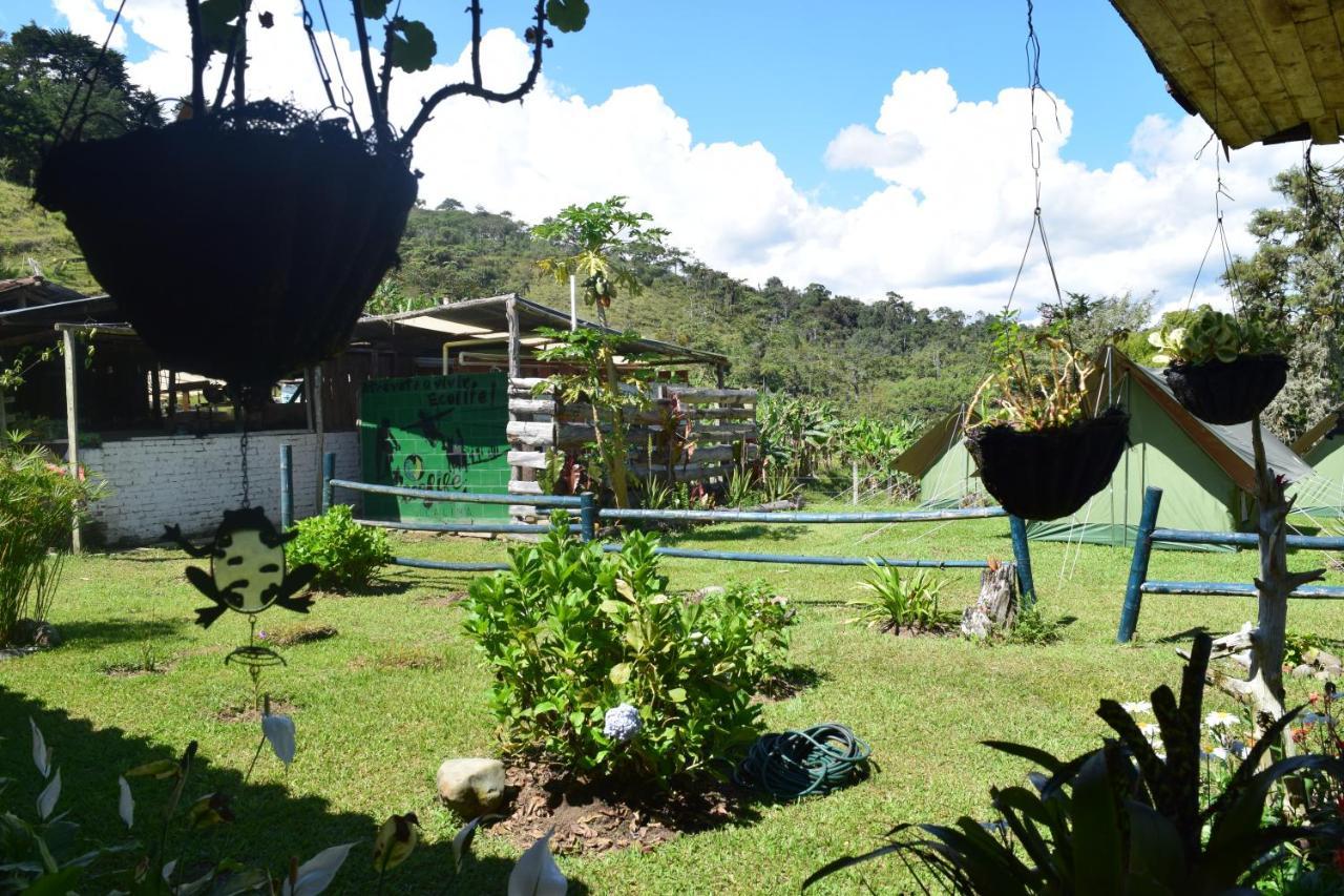 Hostel Ecolife Calima Exterior foto